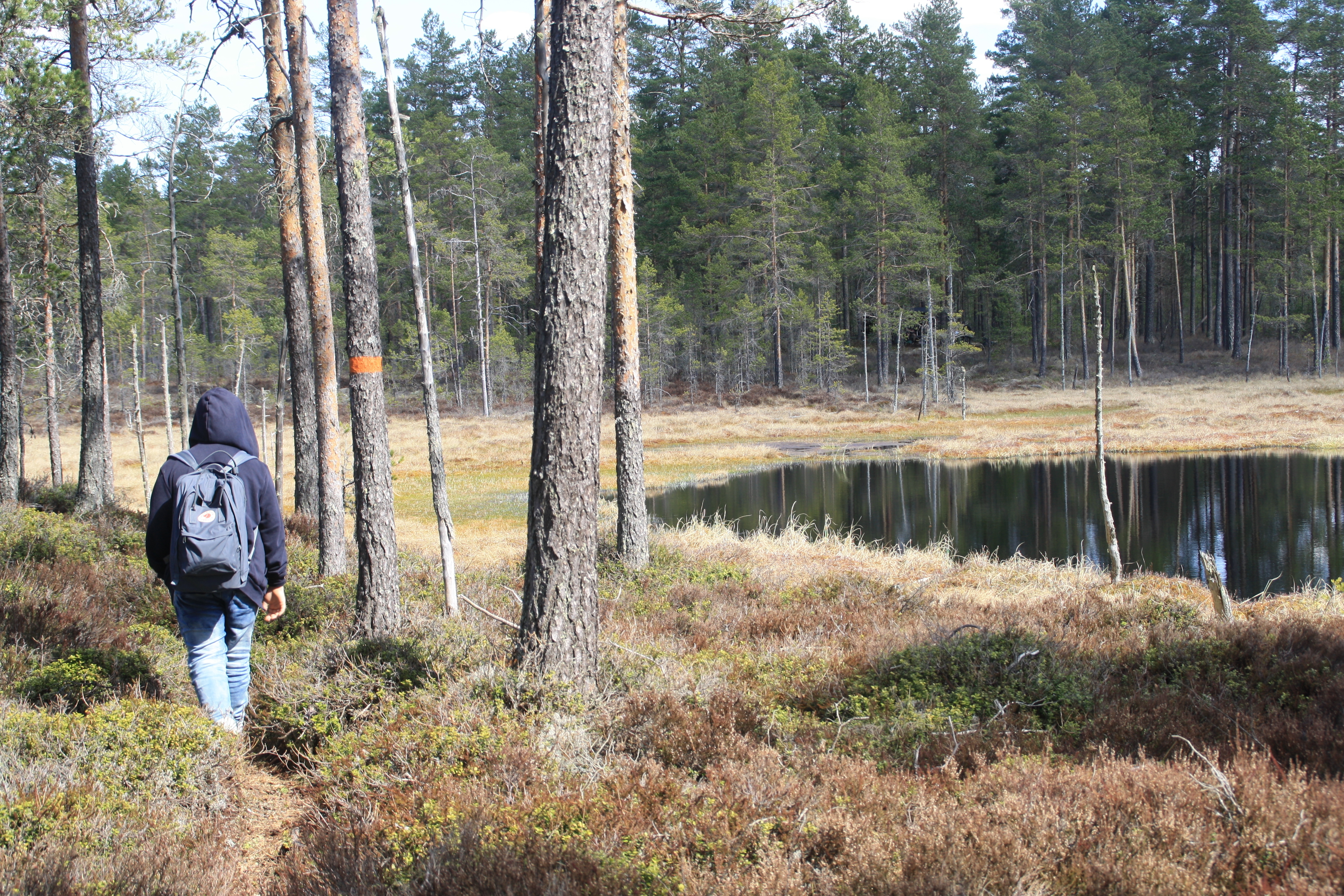 samhällsbyggnad bergslagen