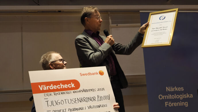 Rosenbergdagarna