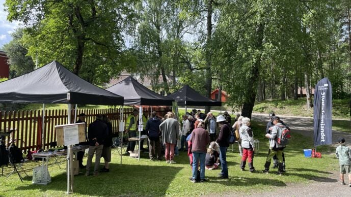 Deltagare och ledare i BioBlitz V&auml;stmanland