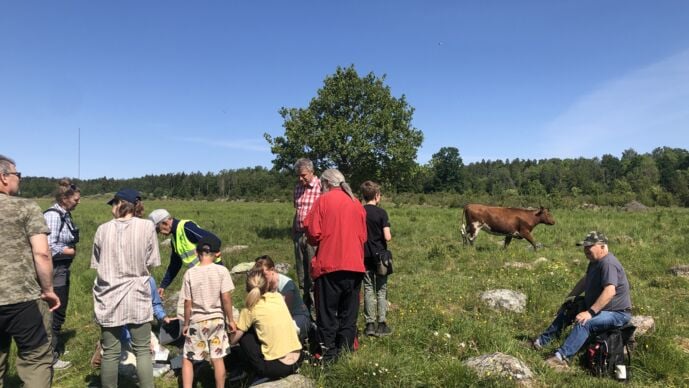 Deltagare och ledare i BioBlitz V&auml;stmanland