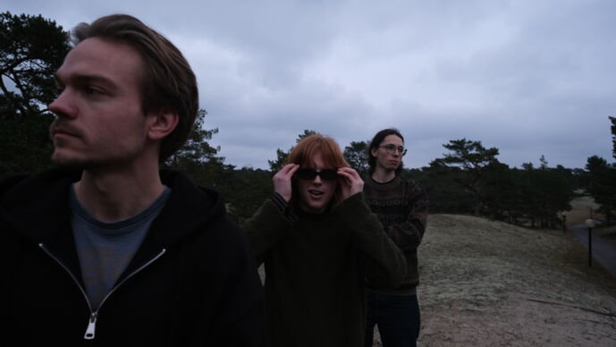 Monstera.JPG Bandbild